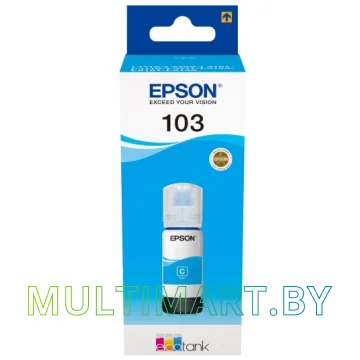 Чернила Epson C13T00S24A картинка 2